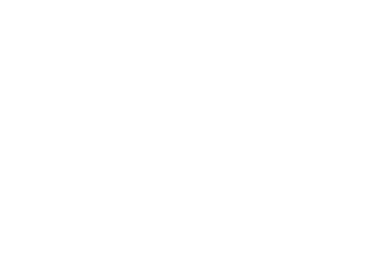 Lux & Zebra - Film | VFX | Animation